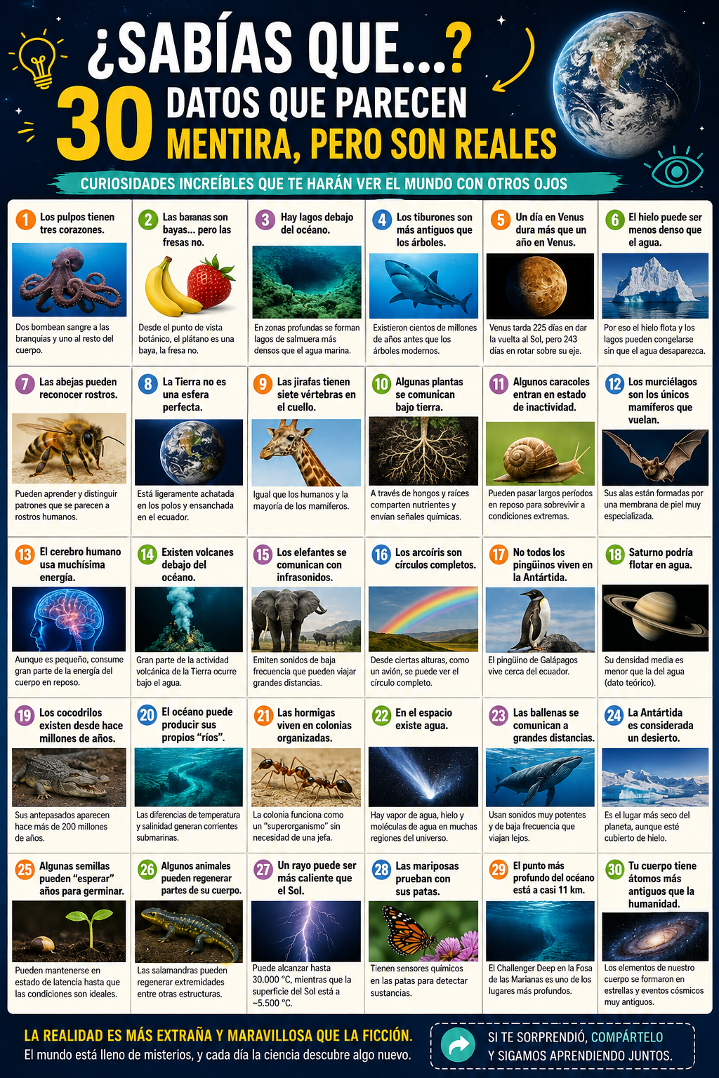 ¿Sabías que…? 30 datos que parecen mentira, pero son completamente reales